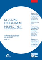 Decoding enlargement perspectives